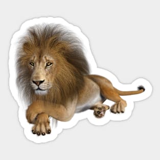 Big wild African Lion Sticker